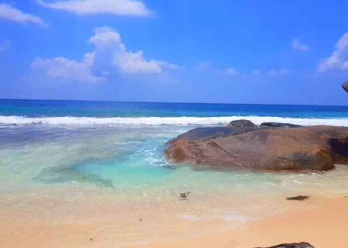 Bed & Breakfast Green Village 4*
